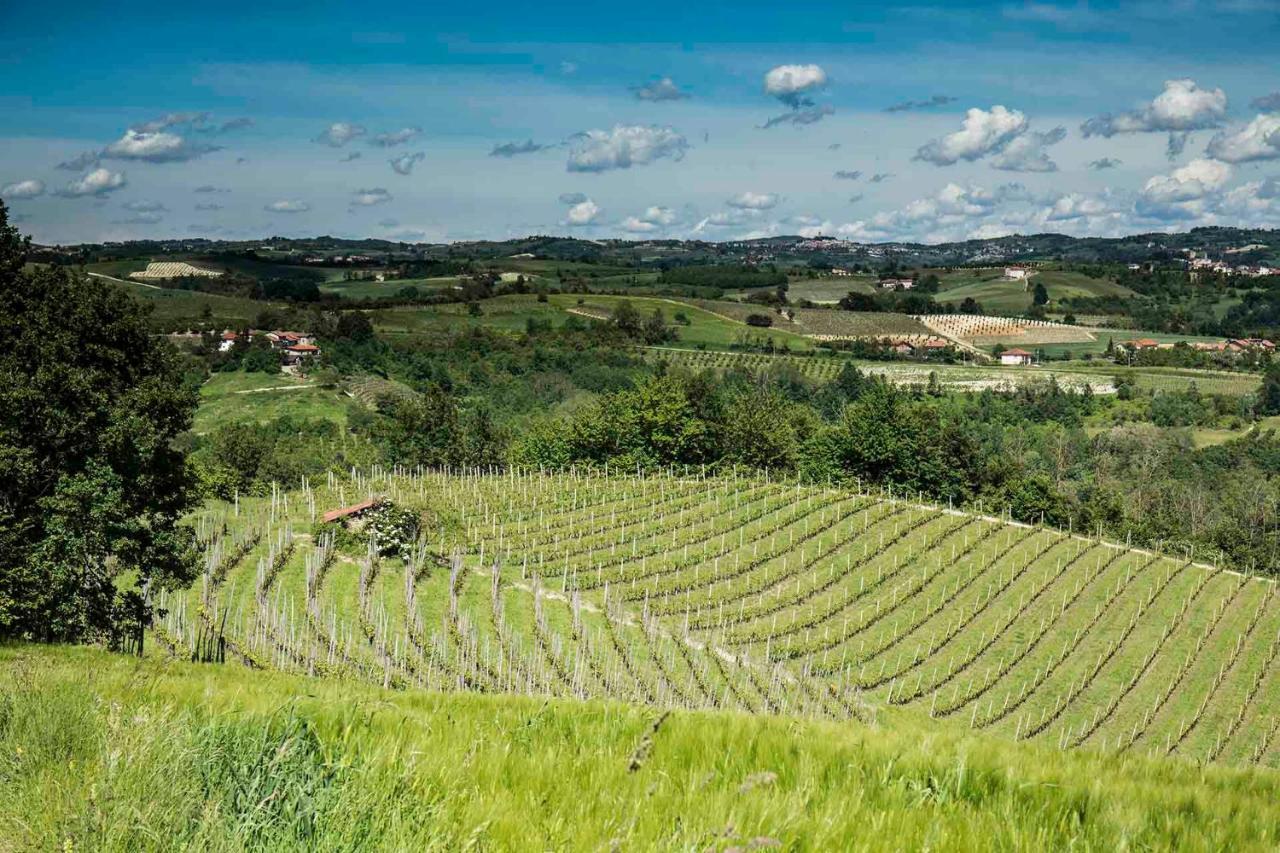 Casa Vacanze Fusina Appartamento Dogliani Esterno foto