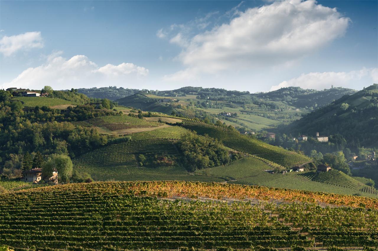 Casa Vacanze Fusina Appartamento Dogliani Esterno foto