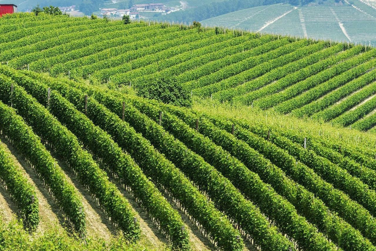 Casa Vacanze Fusina Appartamento Dogliani Esterno foto